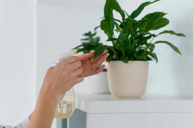 Person taking care of office cleaning