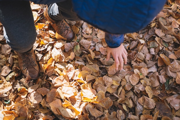 Free photo person taking foliage in woods