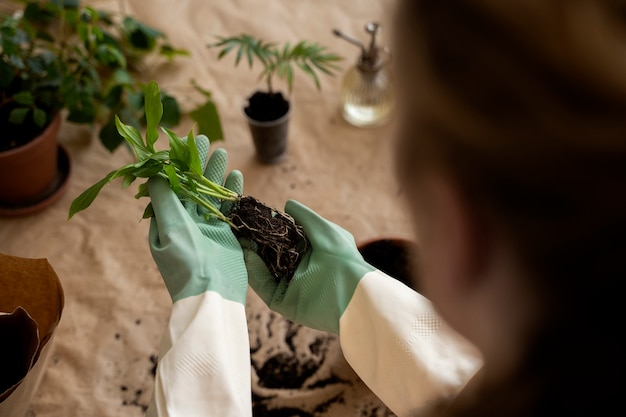 Бесплатное фото Человек пересаживает растения в новые горшки