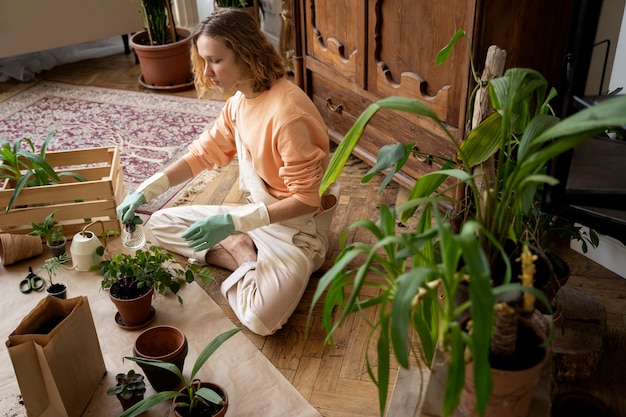 Free photo person transplanting plants in new pots