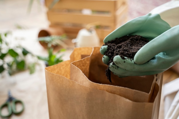 新しい鉢に植物を移植する人