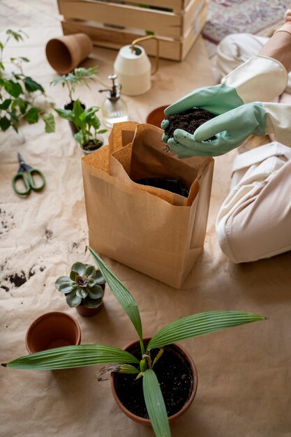 Person transplanting plants in new pots