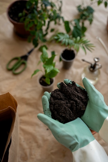 Person transplanting plants in new pots