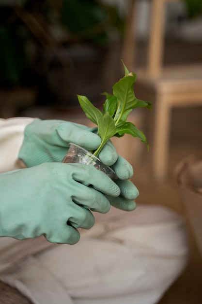 新しい鉢に植物を移植する人