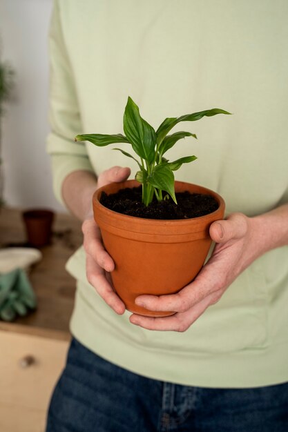 新しい鉢に植物を移植する人