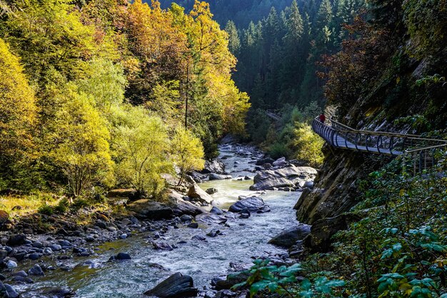 Person walking on a metal pathway above the river in a forest