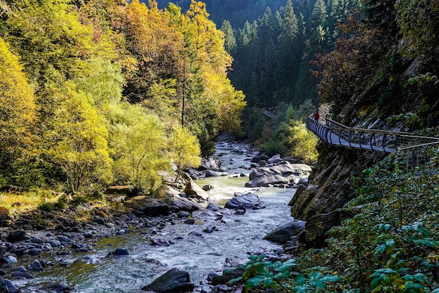 Person walking on a metal pathway above the river in a forest