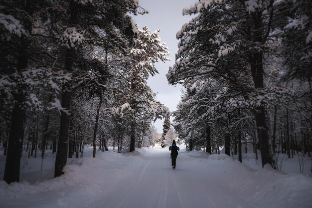 周りの木々と雪に覆われた道を歩く暖かい服を着た人