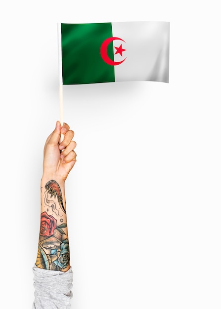 Foto gratuita persona sventolando la bandiera della repubblica democratica popolare di algeria