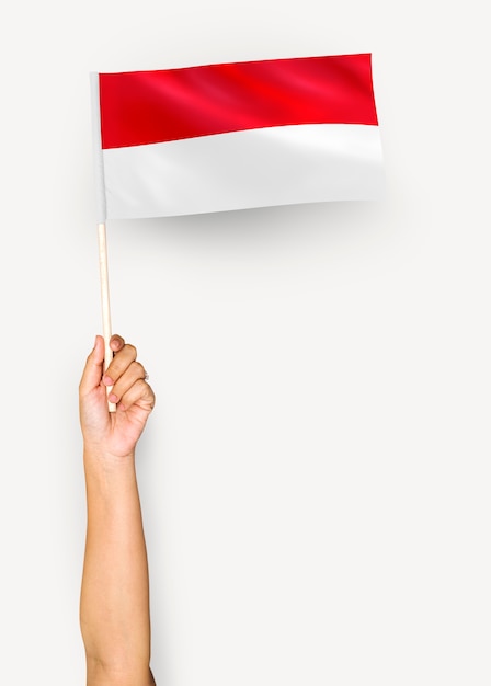 Free photo person waving the flag of principality of monaco