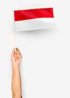 Free photo person waving the flag of principality of monaco