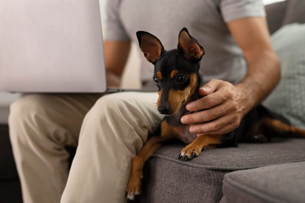 ペットの犬と一緒に家で働く人