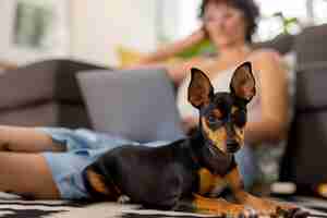 Free photo person working from home with pet dog