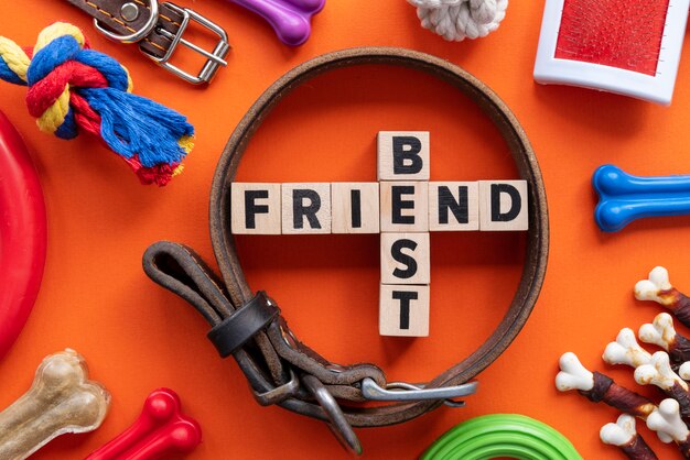 Pet accessories still life concept with best friend text