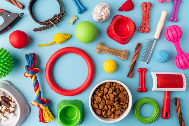 Pet accessories still life concept with colorful objects