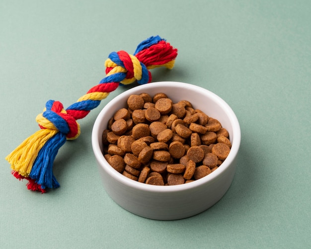 Pet accessories still life concept with food bowl