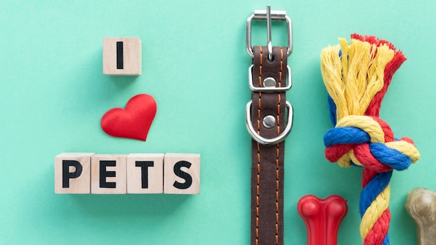 Pet accessories still life concept with i love pets text
