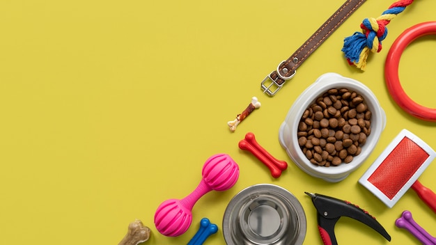 Pet accessories still life concept with leash and colorful toys