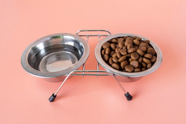 Dog Food and Water Bowls