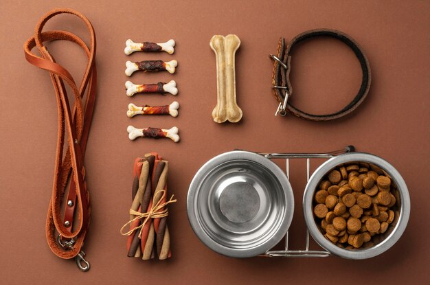 Pet accessories still life with food bowl and various treats