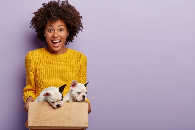 Pet care concept. Joyous dark skinned female owner holds her puppies in small wooden box, ready to give them in right hands, rejoices dog family growing, wears yellow sweater