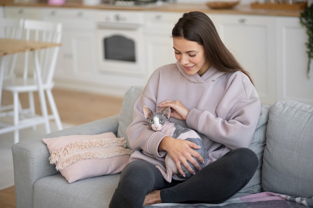 Foto gratuita stile di vita e ritratti del gatto domestico