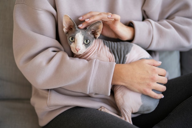 Foto gratuita stile di vita e ritratti del gatto domestico