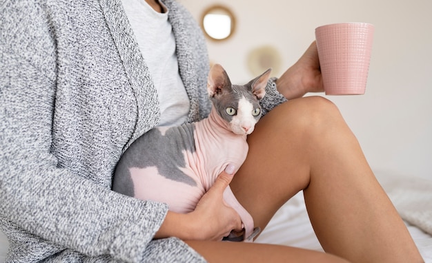Вывод шерсти из желудка кошки