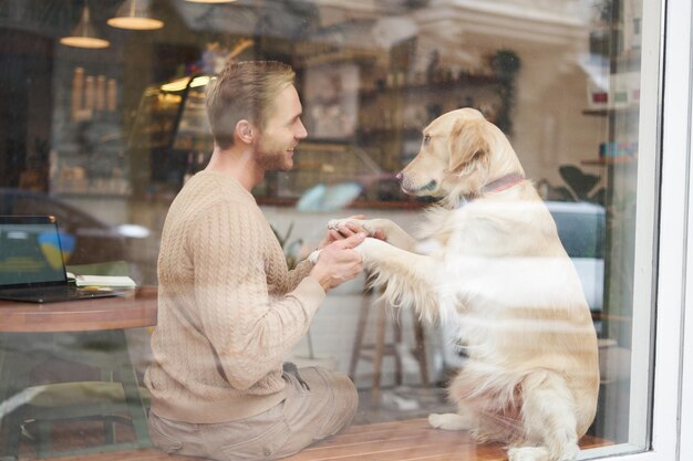 ペットフレンドリーなレストランや公共の場所では犬のペットを仲間としてサポートします カフェの窓の屋外ショット