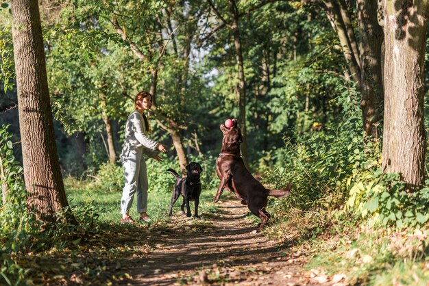 Pet owner playing with her two dogs in park