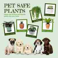 Free photo pet safe plants post for social media