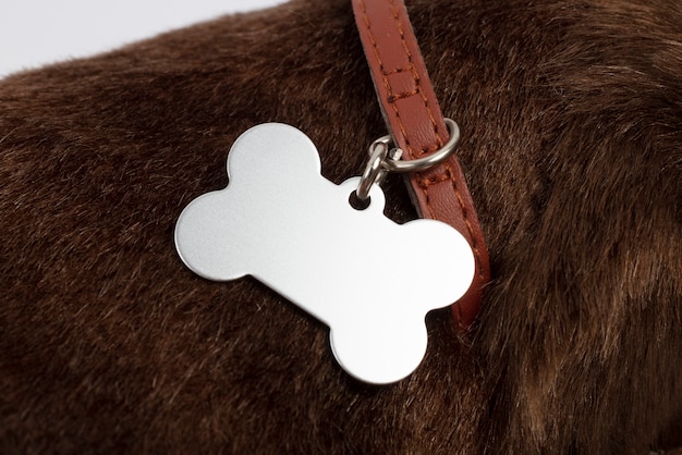 Free photo pet tag logo mockup design