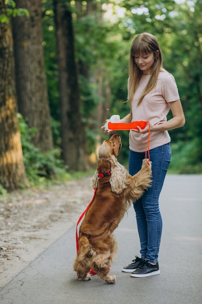 Pet walker having a stroll with cocker spaniel dog