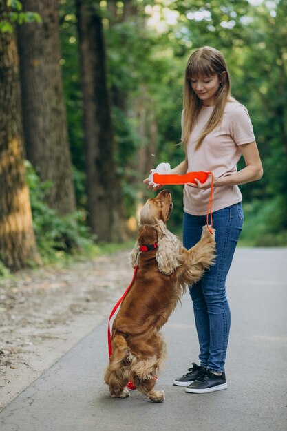 コッカースパニエル犬と散歩をしているペットウォーカー