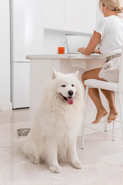 Pet and woman spending time together