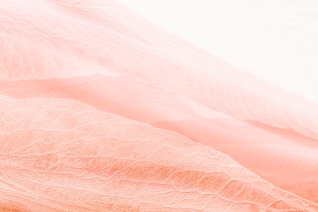 Лепесток текстуры фона в кораллово-розовом для блога баннера