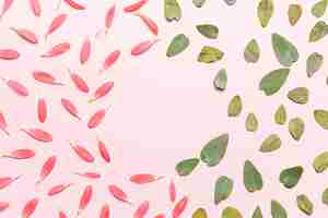 Free photo petals and leaves