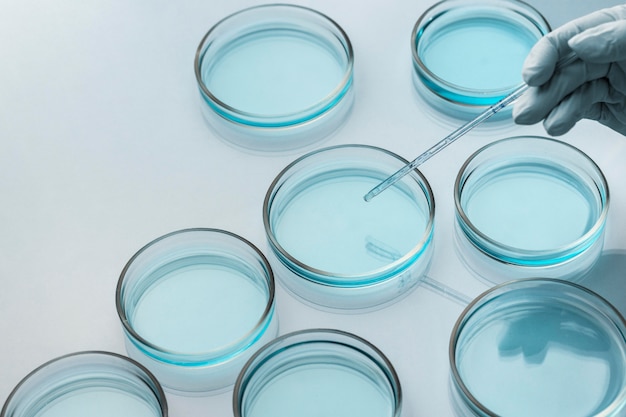 Petri dishes in medical lab with dropper