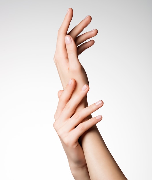Photo of a beautiful elegant female hands with healthy clean skin