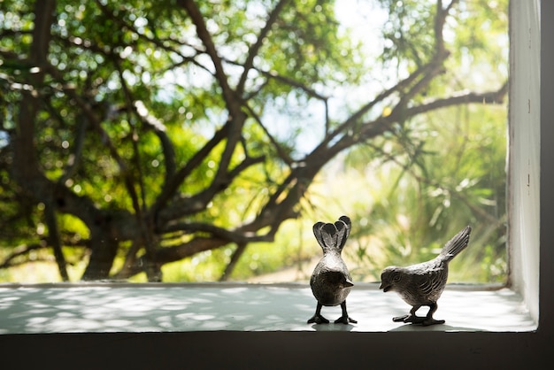 Free photo photo of birds couple through the window of nature