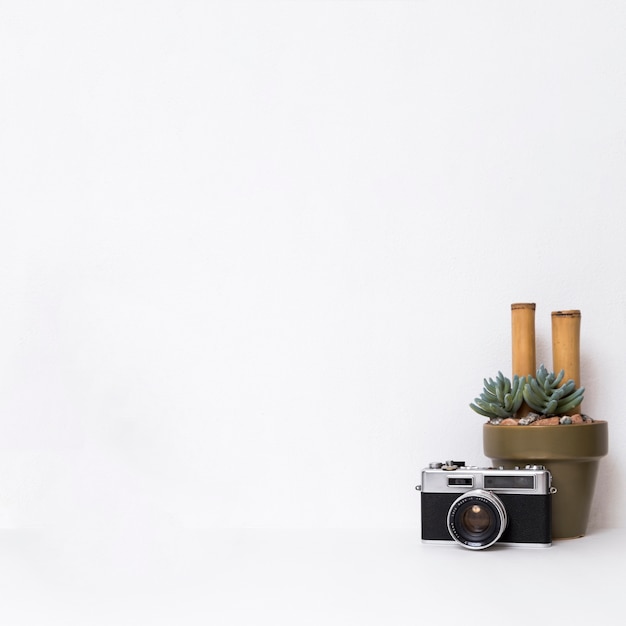 Photo camera and cactus on white background