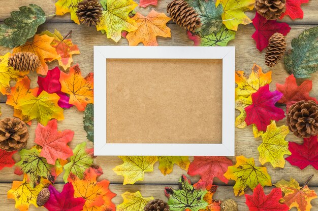 Photo frame between foliage and snags