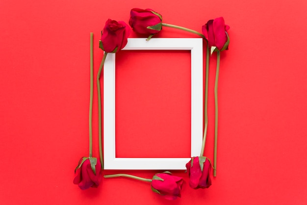 Free photo photo frame between fresh flowers