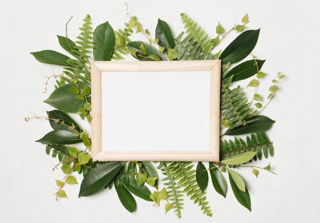 photo frame between green plants 