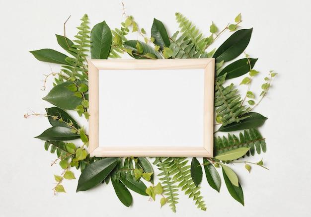 Photo frame between green plants 