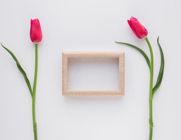 Cornici fotografiche vicino a fiori rosa su steli verdi