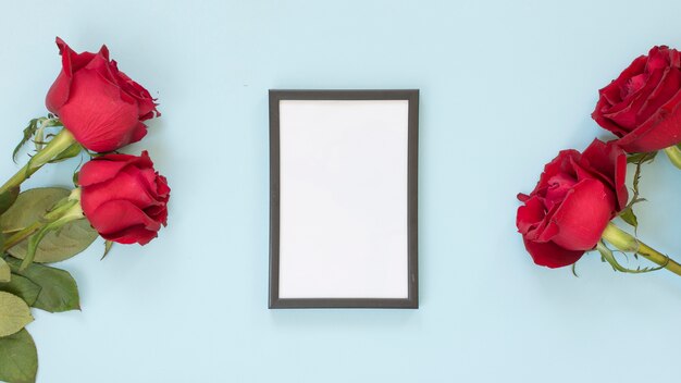 붉은 꽃 사이의 사진 프레임