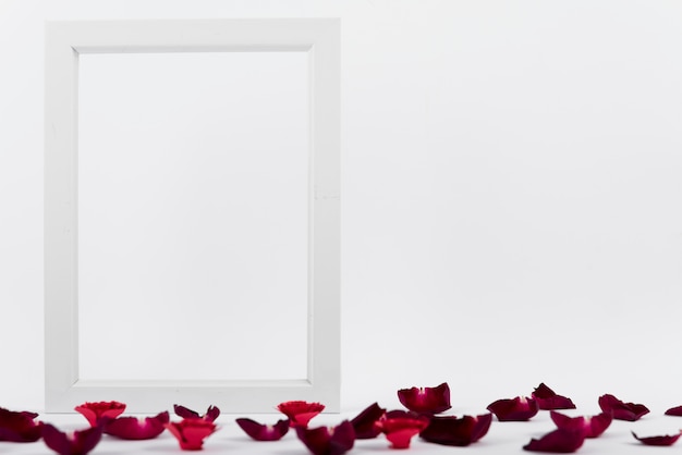 Photo frame between red petals 