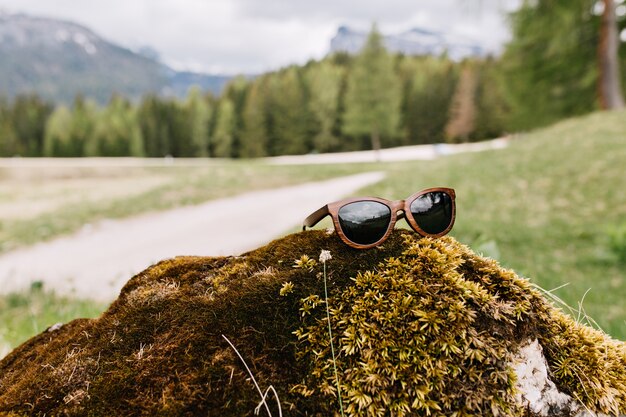 Photo of green landscape with mountains and forest in distant with trendy sunglasses in foreground