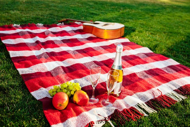 Photo of guitar, fruit, champagne and stemwares on plaid at park.